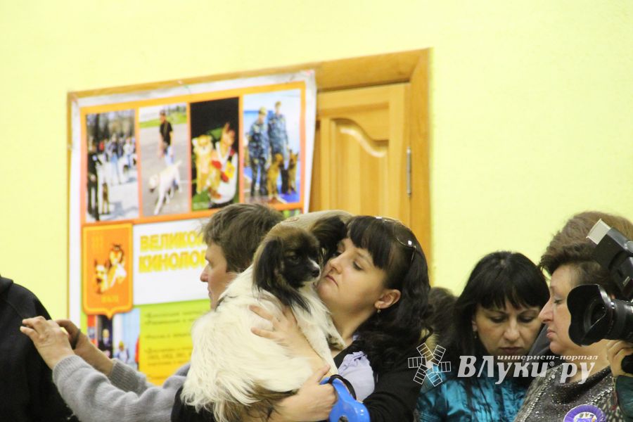 Всероссийская выставка собак «Великие Луки — 2014»