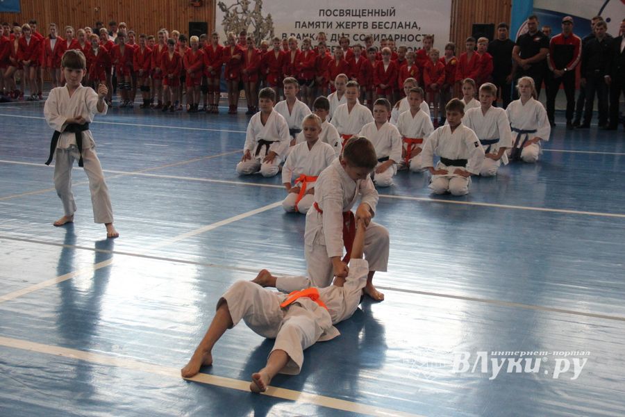 1-й Фестиваль боевых искусств состоялся в Великих Луках  (ФОТО)
