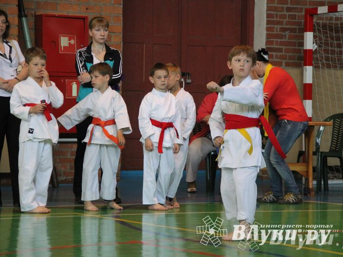 Великолучане стали победителями турнира по каратэ «Неприкосновенный запас, дети — Отчизны 2015» (фото)