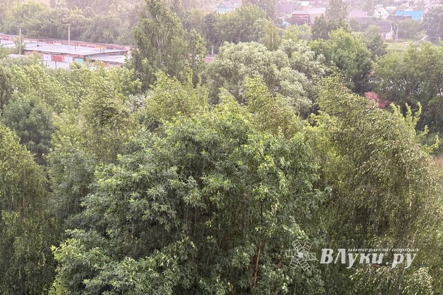 ВЛуки.ру