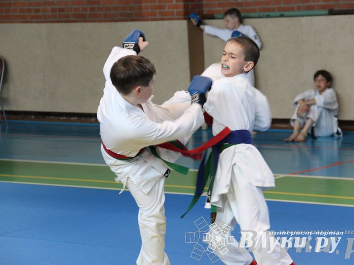 Турнир по каратэ «Неприкосновенный запас — дети Отчизны»