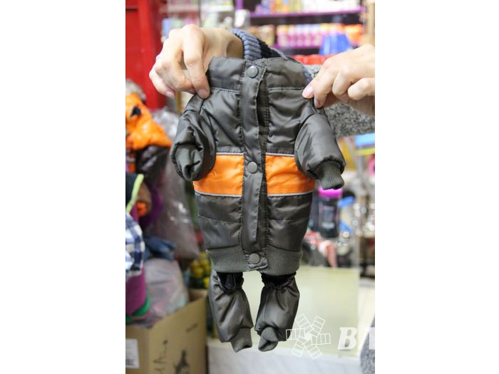 «Zooбастики»: подарите праздник своим любимцам! (ФОТО+ВИДЕО)