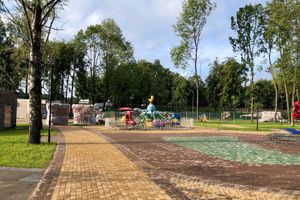 Великолукские динозавры оживают (ФОТО)