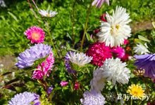 Прогноз погоды на 11 сентября в Великих Луках