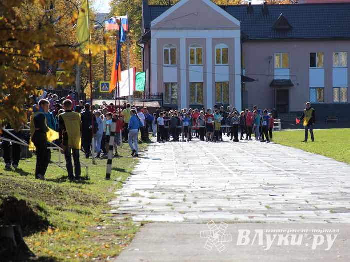 «Шиповка юных» среди великолукских школьников (фото)