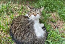 Прогноз погоды в Великих Луках на 23 сентября