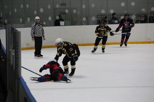 Великолучане обыграли псковских медведей в «Айсберге» (ФОТО)