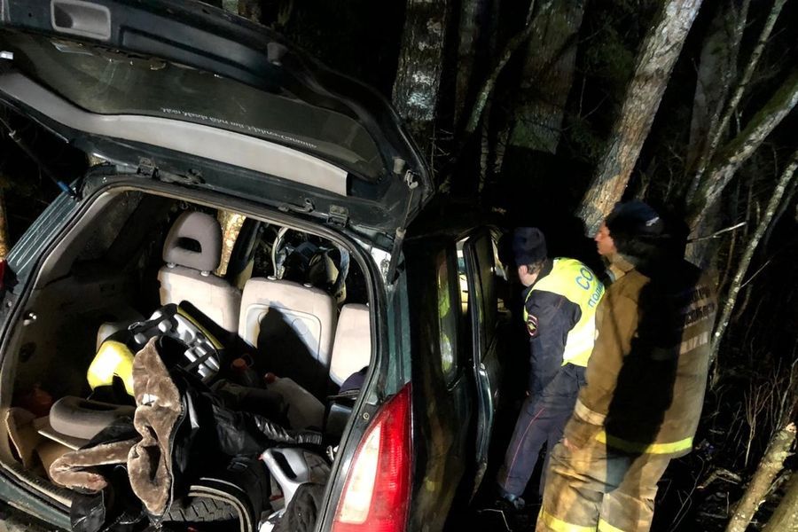 В ДТП под Себежем погибла семья (ФОТО)