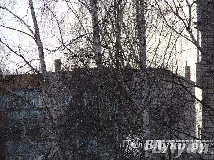 Зима. Начало