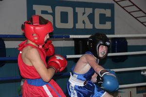 Открытое первенство по боксу прошло в Великих Луках (ФОТО)