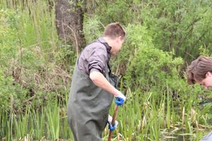 «Партия Дела» делает дело