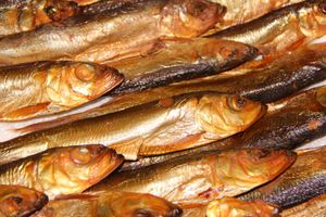 В ДК ЛК открылась 7-я Великолукская универсальная выставка (ФОТО, ВИДЕО)