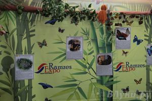 Обзор выставок Краеведческого музея