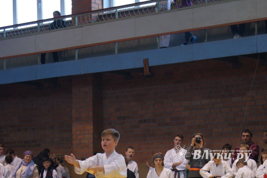 В Великих Луках прошли соревнования по каратэ (ФОТО)