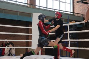 В Великих Луках прошел международный открытый Кубок по смешанному боевому единоборству (ФОТО) (16+)