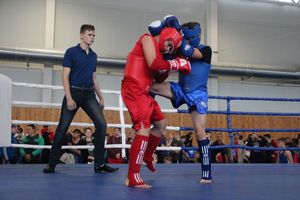 1-й Фестиваль боевых искусств состоялся в Великих Луках  (ФОТО)