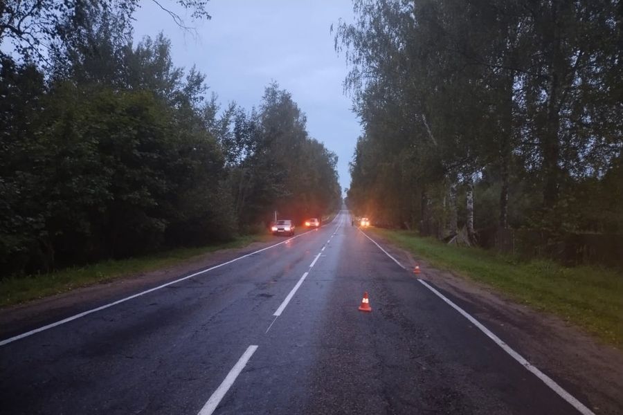 Подробности смертельного ДТП в Великолукском районе (ФОТО)