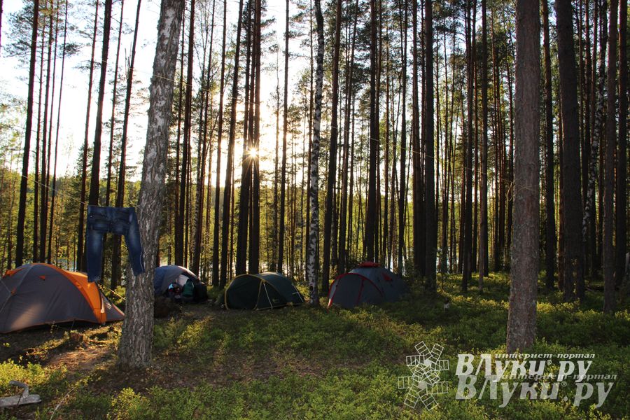 Фестиваль танцевальной музыки в Сенчитах (фото)