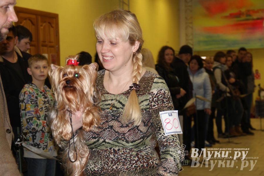 Всероссийская выставка собак в Великих Луках (фото)