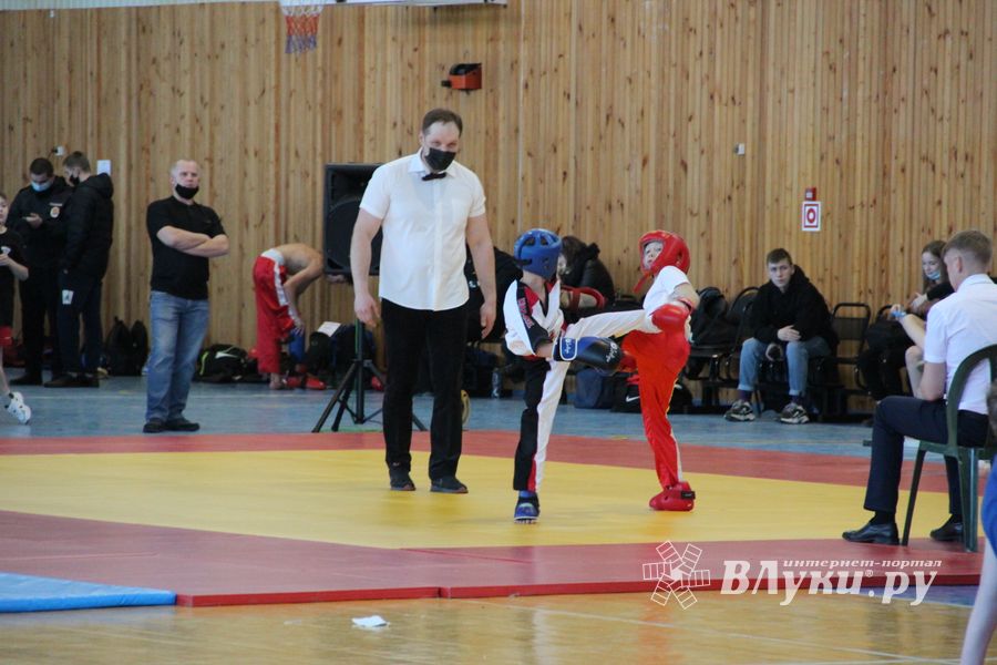 Фестиваль боевых искусств прошел в Великих Луках (ФОТО)