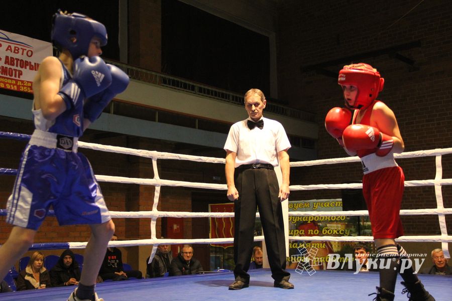 В Великих Луках проходят соревнования по боксу памяти Е.А. Клевцова (фоторепортаж)