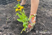 Более 850 подростков Псковской области трудились на летних каникулах