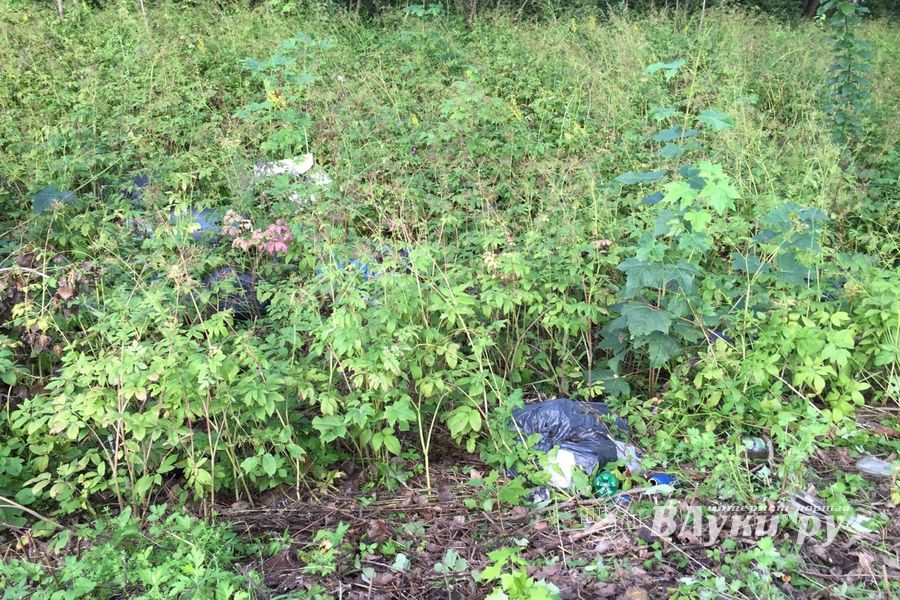 На обочину трассы Булынино-Невель выбрасывают даже автомобили (ФОТО)