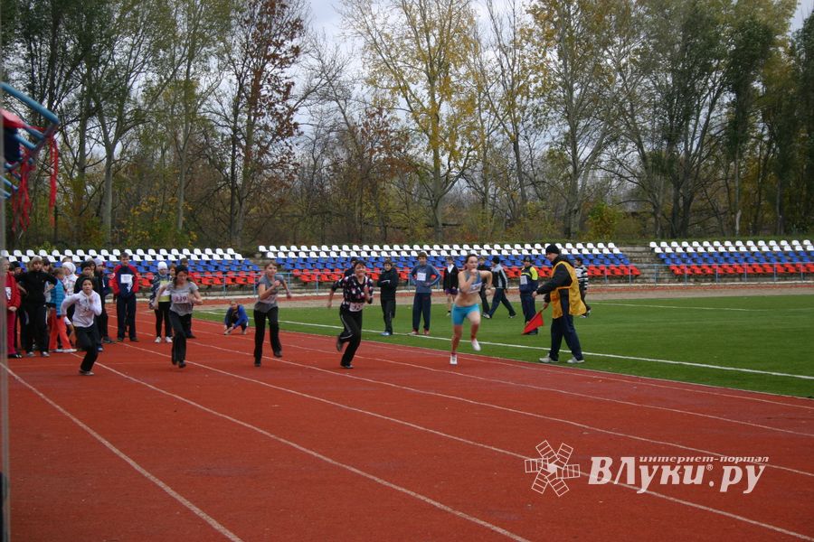 «Шиповка юных»