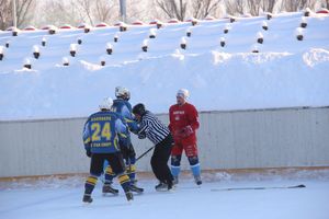 Великолукский хоккей: много забитых шайб и немного потасовок и разбитых лиц (фото)
