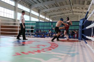 В Великих Луках прошел Кубок области по кикбоксингу (ФОТО)