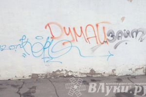 В Великих Луках предлагают штрафовать «уличных художников» на 50 тыс рублей (фото)