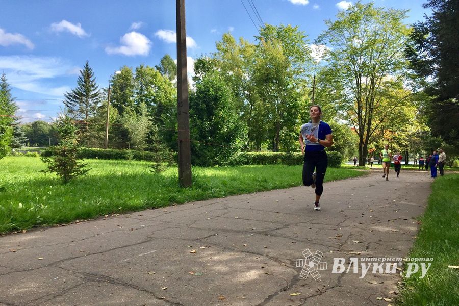В Великих Луках стартовал Всероссийский день бега «Кросс нации-2017» (ФОТО)