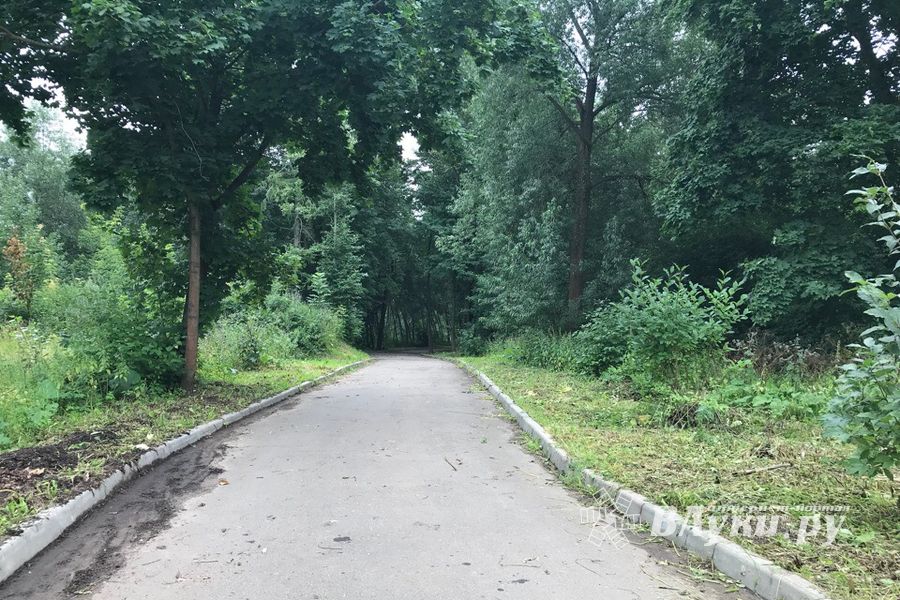 Дятлинку покосили (ФОТО)