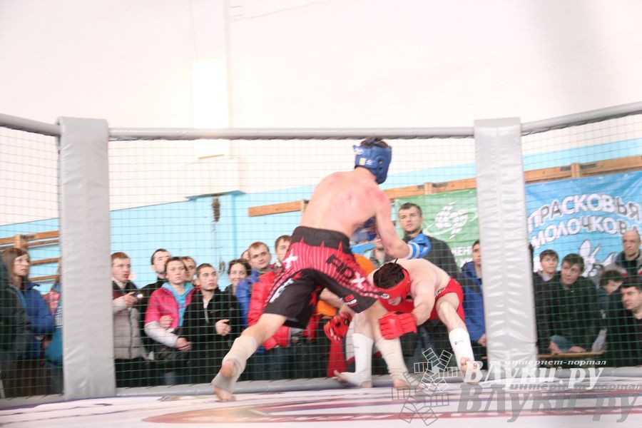 Первый чемпионат и первенство Псковской области по смешанным боевым искусствам «ММА»