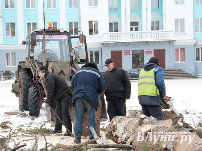 Главная городская ёлка отправилась на свалку (ФОТО)