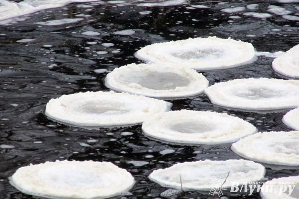 Удивительное природное явление в Великих Луках (ФОТО)