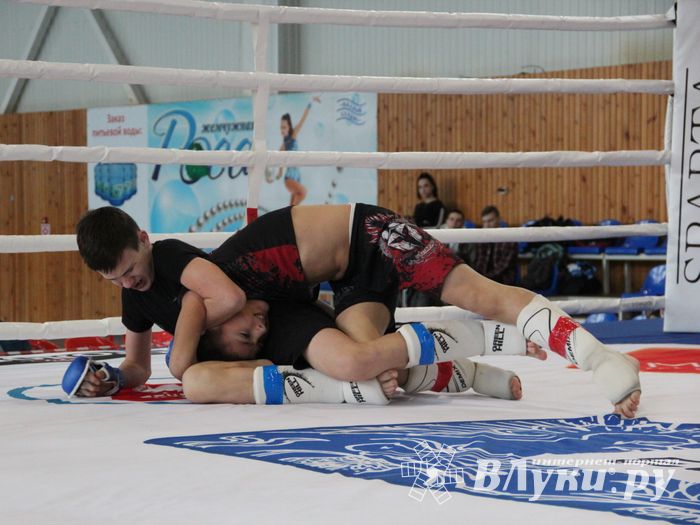 Открытый кубок по смешанному боевому единоборству ММА прошел в Великих Луках (ФОТО)