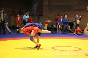 Великолучане стали первыми в общекомандном зачете турнира по самбо «Память»