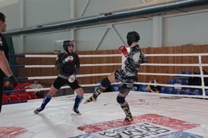 В Великих Луках завершился открытый кубок по смешанному боевому единоборству ММА (ФОТО)