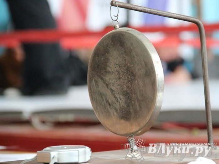 Чемпионат Псковской области по ММА