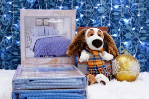 Пора покупать тёплые и яркие новогодние подарки (ФОТО)