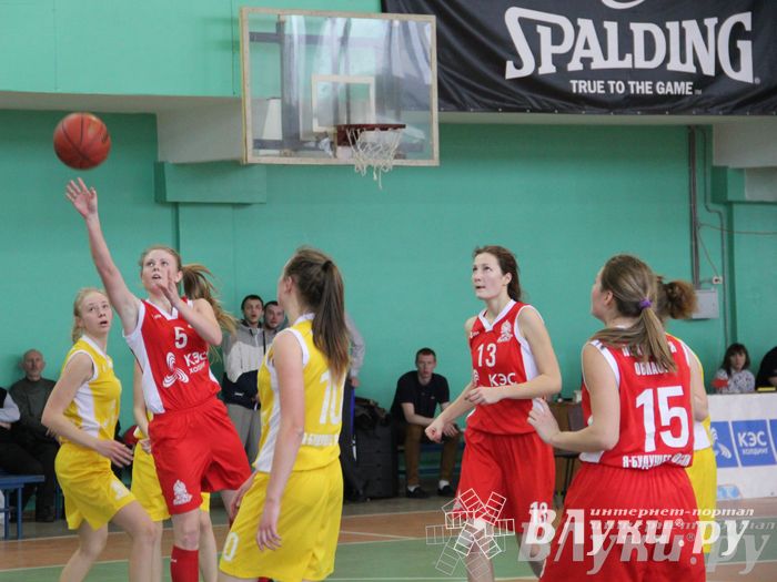 Чемпионат ШБЛ «КЭС-БАСКЕТ» сезона 2013-2014 гг. Псковской области