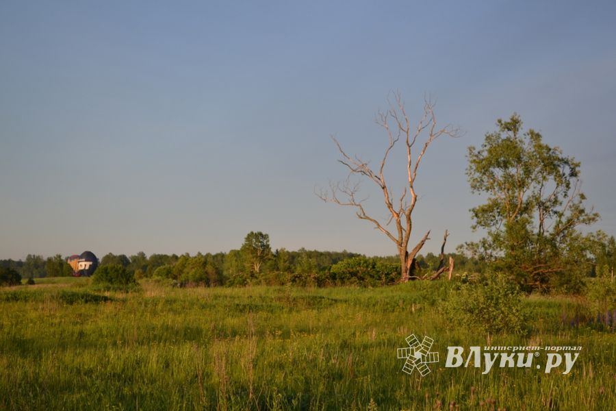 Автор фото: Дарья Мораускайте