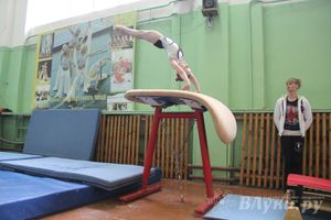 В Великих Луках прошел турнир по спортивной гимнастике (фото)