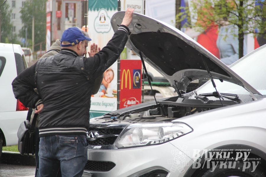 В Великих Луках прошла «Весенняя автоярмарка Великие Луки — 2015» (фото)