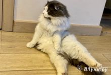 Прогноз погоды на 7 марта в Великих Луках