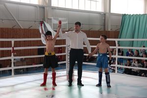 В Великих Луках прошел Кубок области по кикбоксингу (ФОТО)