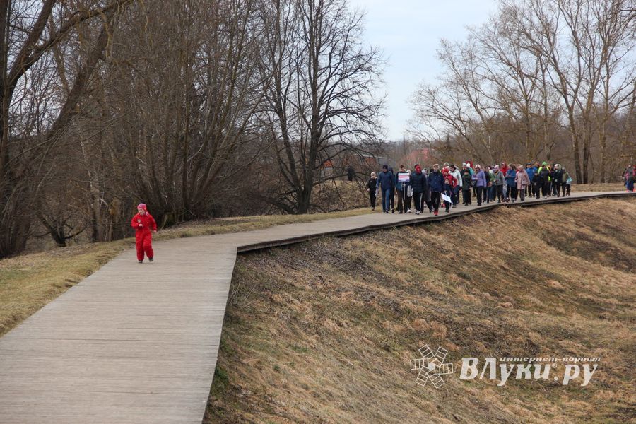 Великолучане присоединились к Всероссийской акции по ходьбе (ФОТО)