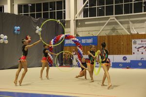 В Великих Луках проходит Кубок Псковской области по художественной гимнастике (ФОТО) (0+)