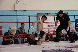 Открытый Кубок города Великие Луки по смешанному боевому единоборству (ММА)
